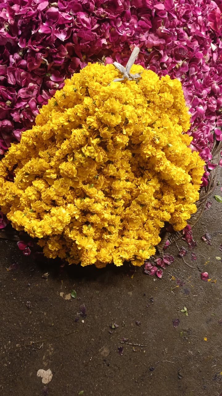 Marigold Garland (Genda Phool Haar)