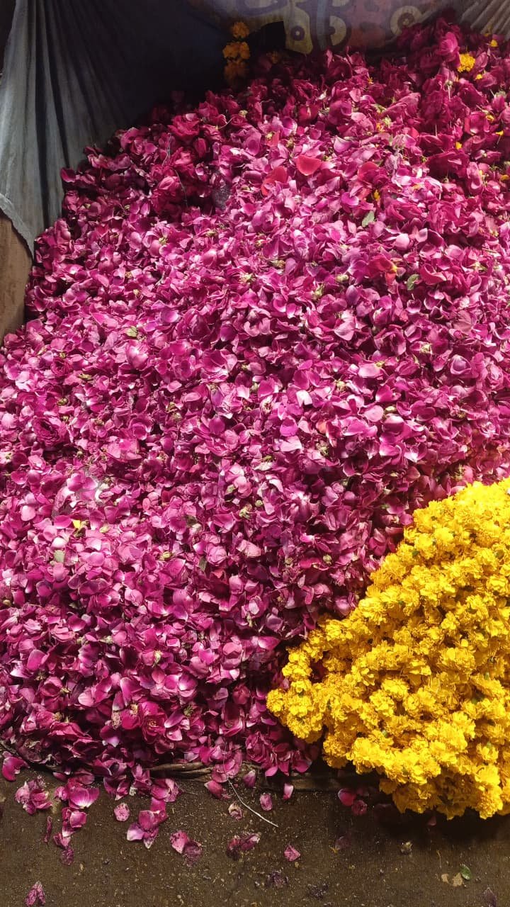 Rose Petals (Gulab ki Pattiyan or Pankhudi)