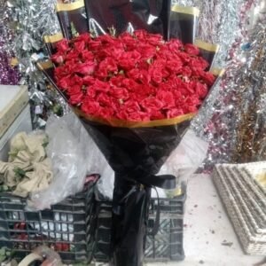 Classic Red Roses