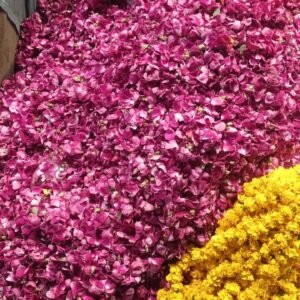 Rose Petals (Gulab ki Pattiyan or Pankhudi)